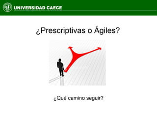 ¿Prescriptivas o Ágiles?
¿Qué camino seguir?
 