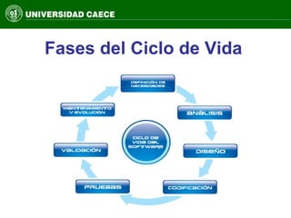 Fases del Ciclo de Vida
 