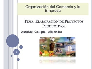 Organización del Comercio y la
Empresa
TEMA: ELABORACIÓN DE PROYECTOS
PRODUCTIVOS
Autor/a: Collipal, Alejandra

1

 