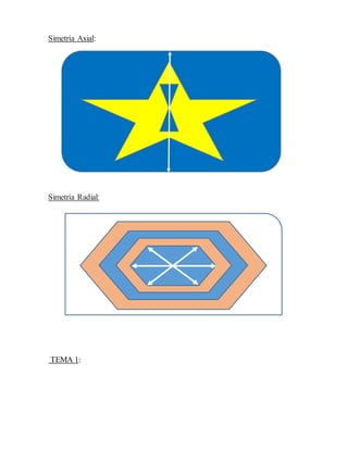 Simetría Axial:
Simetría Radial:
TEMA 1: