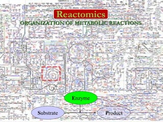TRANSLATIONAL PROTEOMICS introduction and notes | PDF