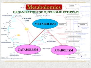 TRANSLATIONAL PROTEOMICS introduction and notes | PDF