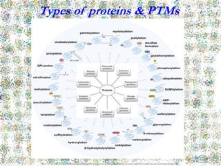 TRANSLATIONAL PROTEOMICS introduction and notes | PDF