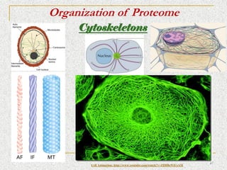 TRANSLATIONAL PROTEOMICS introduction and notes | PDF