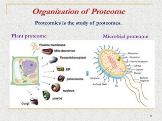 TRANSLATIONAL PROTEOMICS introduction and notes | PDF