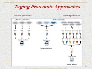 TRANSLATIONAL PROTEOMICS introduction and notes | PDF