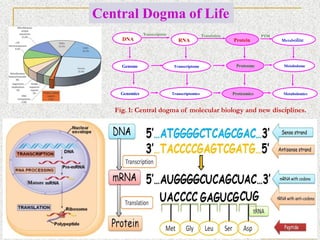 TRANSLATIONAL PROTEOMICS introduction and notes | PDF
