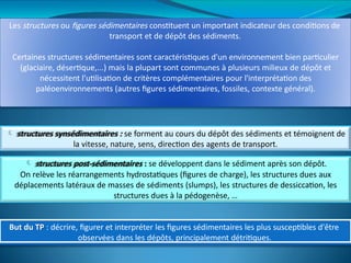 Tp Structure TP-structures-sc3a9dimentaires 2025.pptx