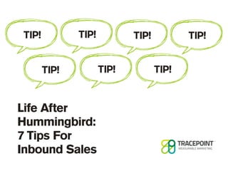 TIP!

TIP!
TIP!

Life After
Hummingbird:
7 Tips For
Inbound Sales

TIP!
TIP!

TIP!
TIP!

 