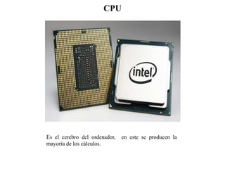 CPU
Es el cerebro del ordenador, en este se producen la
mayoría de los cálculos.
 