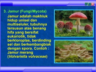 TP 10. 1 RUANG LINGKUP BIOLOGI.ppt materi Biologi Kelas X | PPT