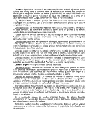 Bioquimica Clínica y orina.pdf