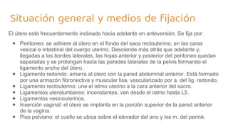Situación general y medios de fijación
El útero está frecuentemente inclinado hacia adelante en anteversión. Se fija por:
⬥ Peritoneo: se adhiere al útero en el fondo del saco rectouterino, en las caras
vesical e intestinal del cuerpo uterino. Desciende más atrás que adelante y,
llegadas a los bordes laterales, las hojas anterior y posterior del peritoneo quedan
separadas y se prolongan hasta las paredes laterales de la pelvis formando el
ligamento ancho del útero.
⬥ Ligamento redondo: amarra al útero con la pared abdominal anterior. Está formado
por una armazón fibronectiva y muscular lisa, vascularizado por a. del lig. redondo.
⬥ Ligamento rectouterino: une el istmo uterino a la cara anterior del sacro.
⬥ Ligamentos uterolumbares: inconstantes, van desde el istmo hasta L5.
⬥ Ligamentos vesicouterinos.
⬥ Inserción vaginal: el útero se implanta en la porción superior de la pared anterior
de la vagina.
⬥ Piso pelviano: el cuello se ubica sobre el elevador del ano y los m. del periné.
 
