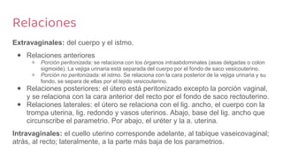 Relaciones
Extravaginales: del cuerpo y el istmo.
⬥ Relaciones anteriores
⬦ Porción peritonizada: se relaciona con los órganos intraabdominales (asas delgadas o colon
sigmoide). La vejiga urinaria está separada del cuerpo por el fondo de saco vesicouterino.
⬦ Porción no peritonizada: el istmo. Se relaciona con la cara posterior de la vejiga urinaria y su
fondo, se separa de ellas por el tejido vesicouterino.
⬥ Relaciones posteriores: el útero está peritonizado excepto la porción vaginal,
y se relaciona con la cara anterior del recto por el fondo de saco rectouterino.
⬥ Relaciones laterales: el útero se relaciona con el lig. ancho, el cuerpo con la
trompa uterina, lig. redondo y vasos uterinos. Abajo, base del lig. ancho que
circunscribe el parametrio. Por abajo, el uréter y la a. uterina.
Intravaginales: el cuello uterino corresponde adelante, al tabique vaseicovaginal;
atrás, al recto; lateralmente, a la parte más baja de los parametrios.
 