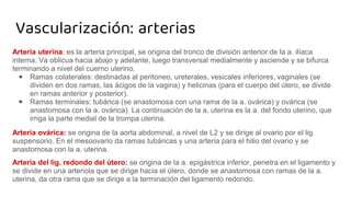 Vascularización: arterias
Arteria uterina: es la arteria principal, se origina del tronco de división anterior de la a. ilíaca
interna. Va oblicua hacia abajo y adelante, luego transversal medialmente y asciende y se bifurca
terminando a nivel del cuerno uterino.
⬥ Ramas colaterales: destinadas al peritoneo, ureterales, vesicales inferiores, vaginales (se
dividen en dos ramas, las ácigos de la vagina) y helicinas (para el cuerpo del útero, se divide
en ramas anterior y posterior).
⬥ Ramas terminales: tubárica (se anastomosa con una rama de la a. ovárica) y ovárica (se
anastomosa con la a. ovárica). La continuación de la a. uterina es la a. del fondo uterino, que
irriga la parte medial de la trompa uterina.
Arteria ovárica: se origina de la aorta abdominal, a nivel de L2 y se dirige al ovario por el lig.
suspensorio. En el mesoovario da ramas tubáricas y una arteria para el hilio del ovario y se
anastomosa con la a. uterina.
Arteria del lig. redondo del útero: se origina de la a. epigástrica inferior, penetra en el ligamento y
se divide en una arteriola que se dirige hacia el útero, donde se anastomosa con ramas de la a.
uterina, da otra rama que se dirige a la terminación del ligamento redondo.
 