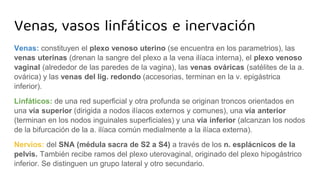 Venas, vasos linfáticos e inervación
Venas: constituyen el plexo venoso uterino (se encuentra en los parametrios), las
venas uterinas (drenan la sangre del plexo a la vena ilíaca interna), el plexo venoso
vaginal (alrededor de las paredes de la vagina), las venas ováricas (satélites de la a.
ovárica) y las venas del lig. redondo (accesorias, terminan en la v. epigástrica
inferior).
Linfáticos: de una red superficial y otra profunda se originan troncos orientados en
una vía superior (dirigida a nodos ilíacos externos y comunes), una vía anterior
(terminan en los nodos inguinales superficiales) y una vía inferior (alcanzan los nodos
de la bifurcación de la a. ilíaca común medialmente a la ilíaca externa).
Nervios: del SNA (médula sacra de S2 a S4) a través de los n. esplácnicos de la
pelvis. También recibe ramos del plexo uterovaginal, originado del plexo hipogástrico
inferior. Se distinguen un grupo lateral y otro secundario.
 