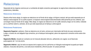 Relaciones
Separada de los órganos vecinos por un ambiente de tejido conectivo perivaginal, la vagina tiene relaciones anteriores,
posteriores y laterales.
Relaciones Anteriores
Desde arriba hacia abajo, la vagina se relaciona con el fondo de la vejiga: el trígono vesical, del que está separada por el
tabique vesicovaginal. En su parte superior, el espacio vesicovaginal está atravesado oblicuamente por los uréteres, que
convergen hacia el fondo de la vejiga. Más abajo, la vagina se relaciona con el cuello vesical y luego con la uretra, rodeada
por su esfínter externo, estriado, de la que está separada por el tabique uretrovaginal.
Relaciones Posteriores
Segmento Superior: pelviano. Este se relaciona con el recto, primero por intermedio del fondo de saco rectouterino.
Luego, a través de una delgada hoja conectiva, por el tabique rectovaginal, plano de separación conectivo entre estos dos
órganos.
Segmento Medio: situado en contacto con el músculo elevador del ano, adherente a la vagina: es el fascículo
pubovaginal, de 1 cm de ancho.
Segmento Inferior: aquí el recto se separa de la vagina,con la cual forma un triángulo rectovaginal ocupado por tejido
adiposo, músculos del periné y una estructura resistente y fibromuscular: el cuerpo perineal.
 