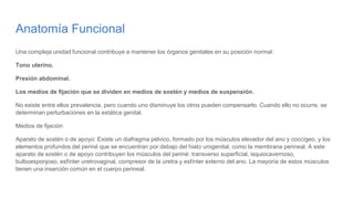 Anatomía Funcional
Una compleja unidad funcional contribuye a mantener los órganos genitales en su posición normal:
Tono uterino.
Presión abdominal.
Los medios de fijación que se dividen en medios de sostén y medios de suspensión.
No existe entre ellos prevalencia, pero cuando uno disminuye los otros pueden compensarlo. Cuando ello no ocurre, se
determinan perturbaciones en la estática genital.
Medios de fijación
Aparato de sostén o de apoyo: Existe un diafragma pélvico, formado por los músculos elevador del ano y coccígeo, y los
elementos profundos del periné que se encuentran por debajo del hiato urogenital, como la membrana perineal. A este
aparato de sostén o de apoyo contribuyen los músculos del periné: transverso superficial, isquiocavernoso,
bulboesponjoso, esfínter uretrovaginal, compresor de la uretra y esfínter externo del ano. La mayoría de estos músculos
tienen una inserción común en el cuerpo perineal.
 