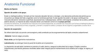 Anatomía Funcional
Medios de fijación
Aparato de sostén o de apoyo:
Existe un diafragma pélvico, formado por los músculos elevador del ano y coccígeo, y los elementos profundos del periné que se
encuentran por debajo del hiato urogenital, como la membrana perineal. A este aparato de sostén o de apoyo contribuyen los
músculos del periné: transverso superficial, isquiocavernoso, bulboesponjoso, esfínter uretrovaginal, compresor de la uretra y esfínter
externo del ano. La mayoría de estos músculos tienen una inserción común en el cuerpo perineal.
Durante los esfuerzos, al contraerse los músculos de la pared abdominal, se contraen los músculos que forman el diafragma pélvico y
los perineales, estrechando el hiato urogenital, y tienden a impedir la salida o prolapso de los órganos urogenitales a través de él
Aparato de suspensión:
Se refiere sobre todo a la porción cervicovaginal y está constituido por los engrosamientos del tejido conectivo subperitoneal:
Adelante: hacia la vejiga y el pubis.
Hacia atrás: por los ligamentos rectouterinos.
Lateralmente: se prolongan hacia la pared de la pelvis por el paracérvix.
La disposición de este tejido mantiene en posición el cuello uterino y asegura la oblicuidad de la vagina. El tejido conectivo
subperitoneal y las fascias pelvianas viscerales deben estar íntegros para el mantenimiento de la estática de la vejiga, la vagina y el
recto.
 