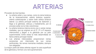 ARTERIAS
Proceden de tres fuentes:
● La arteria axilar y sus ramas, como la rama torácica
de la toracoacromial, arteria torácica superior,
arteria subescapular y sobre todo arteria torácica
lateral. La arteria principal externa de Salomón y
llega a la glándula, oblicua y medialmente, por el
proceso axilar es la más voluminosa
● La arteria torácica interna envía una o varias ramas
mediales, que se originan en el 2ª, 3ª o 4ª espacio
intercondral y llegan a la glándula por su polo
superomedial. Entre estas la más desarrollada se
llama arteria principal medial
● Las arterias intercostales proporcionan ramas
accesorias por intermedio de sus ramas
perforantes, las ramas mamarias mediales, siempre
son delgadas.
La mayor parte de estas arterias siguen la cara superficial
de la glándula y forman una red supramamaria
 