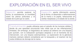 EXPLORACIÓN EN EL SER VIVO
Inspección: aporta información acerca
de la forma, el desarrollo o deformaciones
de la mama o la papila, retracciones en
ciertas neoplasias y el estado de la areola.
Palpación: permite explorar: la
forma, la consistencia, la movilidad
sobre los planos profundos y el
estado de la piel que la cubre.
Transiluminación: puede utilizarse para el estudio de los tumores sólidos,
donde da una opacidad circunscrita más nítida que en las inflamaciones
limitadas. Sin embargo, el diagnóstico de certeza se obtiene con una biopsia
por punción, con la extirpación quirúrgica (biopsia) o en el momento de la
intervención, con una biopsia extemporánea. La exploración de la glándula
mamaria siempre deberá completarse por la búsqueda y el examen de los
nodos linfáticos de drenaje de la mama.
 