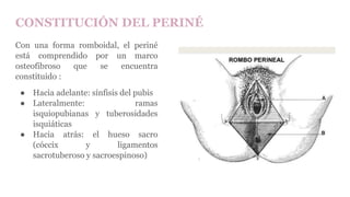 CONSTITUCIÓN DEL PERINÉ
Con una forma romboidal, el periné
está comprendido por un marco
osteofibroso que se encuentra
constituido :
● Hacia adelante: sínfisis del pubis
● Lateralmente: ramas
isquiopubianas y tuberosidades
isquiáticas
● Hacia atrás: el hueso sacro
(cóccix y ligamentos
sacrotuberoso y sacroespinoso)
 