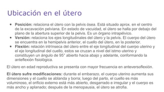 Ubicación en el útero
⬥ Posición: relaciona el útero con la pelvis ósea. Está situado aprox. en el centro
de la excavación pelviana. En estado de vacuidad, el útero se halla por debajo del
plano de la abertura superior de la pelvis. Es un órgano intrapélvico.
⬥ Versión: relaciona los ejes longitudinales del útero y la pelvis. El cuerpo del útero
se encuentra en la hemipelvis anterior, el cuello del útero, en la posterior.
⬥ Flexión: relación intrínseca del útero entre el eje longitudinal del cuerpo uterino y
el eje longitudinal del cuello, estos se cruzan a nivel del istmo uterino y
constituyen un ángulo de 95° abierto hacia abajo y adelante, conformando la
anteflexión fisiológica.
El útero en edad reproductiva se presenta con mayor frecuencia en anteversoflexión.
El útero sufre modificaciones: durante el embarazo, el cuerpo uterino aumenta sus
dimensiones y el cuello se ablanda y borra; luego del parto, el cuello es más
voluminoso, el orificio externo está más abierto, desgarrado e irregular y el cuerpo es
más ancho y aplanado; después de la menopausia, el útero se atrofia.
 