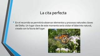 La cita perfecta
• En el recorrido se permitiría observar elementos y procesos naturales claves
del Delta. Un lugar clave de este momento sería visitar el laberinto natural,
creado con la fauna del lugar.
 