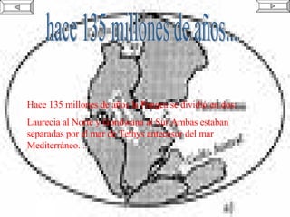 hace 135 millones de años... Hace 135 millones de años la Pangea se dividió en dos: Laurecia al Norte y Gondwana al Sur.Ambas estaban separadas por el mar de Tethys antecesor del mar Mediterráneo. . 