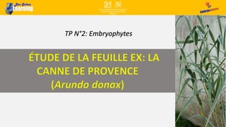 TP N°2: Embryophytes
 