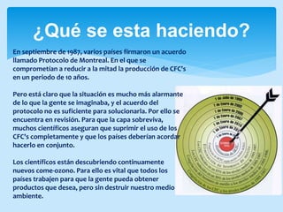 ¿Qué se esta haciendo?
En septiembre de 1987, varios países firmaron un acuerdo
llamado Protocolo de Montreal. En el que se
comprometían a reducir a la mitad la producción de CFC's
en un periodo de 10 años.
Pero está claro que la situación es mucho más alarmante
de lo que la gente se imaginaba, y el acuerdo del
protocolo no es suficiente para solucionarla. Por ello se
encuentra en revisión. Para que la capa sobreviva,
muchos científicos aseguran que suprimir el uso de los
CFC's completamente y que los países deberían acordar
hacerlo en conjunto.
Los científicos están descubriendo continuamente
nuevos come-ozono. Para ello es vital que todos los
países trabajen para que la gente pueda obtener
productos que desea, pero sin destruir nuestro medio
ambiente.
 
