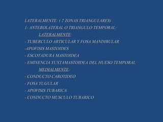 LATERALMENTE: ( 2 ZONAS TRIANGULARES) 1- ANTEROLATERAL O TRIANGULO TEMPORAL: LATERALMENTE : - TUBERCULO ARTICULAR Y FOSA MANDIBULAR -APOFISIS MASTOIDES - ESCOTADURA MASTOIDEA - EMINENCIA YUXTAMASTOIDEA DEL HUESO TEMPORAL MEDIALMENTE : - CONDUCTO CAROTIDEO - FOSA YUGULAR - APOFISIS TUBARICA - CONDUCTO MUSCULO TUBARICO 