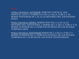 BASE: FOSA CRANEAL ANTERIOR : PORCION VERTICAL DEL FRONTAL (ANT) A TUBERCULO DE LA SILLA TURCA Y EL BORDE POSTERIOR DE LAS ALAS MENORES DEL ESFENOIDES (POST) FOSA CRANEAL MEDIA:  BORDE POST DE LA LAS ALAS MENORES DEL ESFENOIDES A DORSO DE LA SILLA TURCA Y EL BORDE SUPERIOR DE LA PORCION PETROSA DE LOS HUESOS TEMPORALERES FOSA CRANEAL POSTERIOR: DORSO DE LA SILLA TURCA Y  BORDE SUPERIOR DE LA PORCION PETROSA DE LOS HUESOS TEMPORALES A SURCOS DE LOS SENOS TRANSVERSOS. 