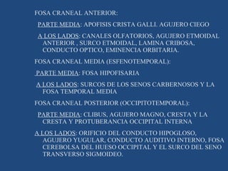 FOSA CRANEAL ANTERIOR: PARTE MEDIA : APOFISIS CRISTA GALLI. AGUJERO CIEGO A LOS LADOS : CANALES OLFATORIOS, AGUJERO ETMOIDAL ANTERIOR , SURCO ETMOIDAL, LAMINA CRIBOSA, CONDUCTO OPTICO, EMINENCIA ORBITARIA. FOSA CRANEAL MEDIA (ESFENOTEMPORAL): PARTE MEDIA : FOSA HIPOFISARIA A LOS LADOS : SURCOS DE LOS SENOS CARBERNOSOS Y LA FOSA TEMPORAL MEDIA FOSA CRANEAL POSTERIOR (OCCIPITOTEMPORAL): PARTE MEDIA : CLIBUS, AGUJERO MAGNO, CRESTA Y LA CRESTA Y PROTUBERANCIA OCCIPITAL INTERNA A LOS LADOS : ORIFICIO DEL CONDUCTO HIPOGLOSO, AGUJERO YUGULAR, CONDUCTO AUDITIVO INTERNO, FOSA CEREBOLSA DEL HUESO OCCIPITAL Y EL SURCO DEL SENO TRANSVERSO SIGMOIDEO. 