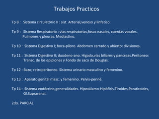 Trabajos Practicos Tp 8 :  Sistema circulatorio II : sist. Arterial,venoso y linfatico. Tp 9 :  Sistema Respiratorio : vias respiratorias,fosas nasales, cuerdas vocales.  Pulmones y pleuras. Mediastino. Tp 10 :  Sistema Digestivo I; boca-píloro. Abdomen cerrado y abierto: divisiones. Tp 11 :  Sistema Digestivo II; duodeno-ano. Higado,vías biliares y pancreas.Peritoneo: Transc. de los epiplones y Fondo de saco de Douglas.  Tp 12 : Bazo; retroperitoneo. Sistema urinario masculino y femenino. Tp 13 :  Aparato genital masc. y femenino. Pelvis-periné. Tp 14 :  Sistema endócrino,generalidades. Hipotálamo-Hipófisis,Tiroides,Paratiroides, Gl.Suprarenal. 2do. PARCIAL 