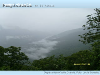 Pampichuela en la niebla Departamento Valle Grande. Foto: Lucía Brunetto