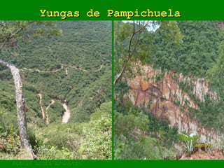 Yungas de Pampichuela Fotos: Lucía Brunetto