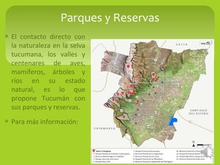 ∗ El contacto directo con
la naturaleza en la selva
tucumana, los valles y
centenares de aves,
mamíferos, árboles y
ríos en su estado
natural, es lo que
propone Tucumán con
sus parques y reservas.
∗ Para más información:
Parques y Reservas
 