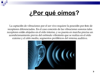 ¿Por qué oímos?
   La captación de vibraciones por el ser vivo requiere la posesión por éste de
 receptores diferenciados. En el caso concreto de las vibraciones sonoras tales
receptores están alojados en el oído interno, y su puesta en marcha precisa un
  acondicionamiento previo del estímulo vibratorio que se realiza en el oído
     externo y el oído medio, segmentos periféricos del sistema auditivo.




                                                                                  3
 