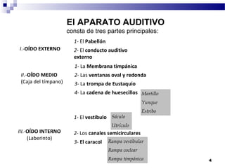      El APARATO AUDITIVO
                      consta de tres partes principales:
                        1- El Pabellón
I.-OÍDO EXTERNO         2- El conducto auditivo
                        externo
                        1- La Membrana timpánica
 II.-OÍDO MEDIO         2- Las ventanas oval y redonda
 (Caja del tímpano)     3- La trompa de Eustaquio
                        4- La cadena de huesecillos Martillo
                                                         Yunque
                                                         Estribo
                        1- El vestíbulo Sáculo
                                          Utrículo
III.-OÍDO INTERNO       2- Los canales semicirculares
     (Laberinto)
                        3- El caracol    Rampa vestibular
                                         Rampa coclear
                                         Rampa timpánica           4
 