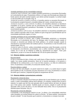6
Actitudes patológicas de las extremidades torácicas:
Actitud de carpo en flexión: uno o ambos miembros posteriores se encuentran flexionados
en la articulación de carpo. El pronóstico difiere si el carpo está flexionado por delante del
borde anterior del pubis (actitud simple) o por detrás (actitud encajada). La actitud simple
es más favorable que la encajada. (Fig. 4)
Actitud del encuentro u hombro en flexión: el miembro anterior se encuentra flexionado en
la articulación escápulo-humeral y extendido debajo del vientre, mirando hacia atrás.
Actitud de encuentro y codo en flexión: la cabeza y los miembros anteriores se introducen
extendidos en la pelvis, mientras que las articulaciones del codo y el hombro (humero-
radial y escápulo-humeral) permanecen flexionadas. Es bastante frecuente en terneros
excesivamente grandes.
Actitud de miembros sobre la nuca: los miembros anteriores se encuentran extendidos pero
(uno o ambos) colocados sobre la nuca. Implica un gran riesgo por la posibilidad de que las
extremidades perfórenla vagina y el recto.
Actitudes patológicas de las extremidades posteriores
Actitud de corvejón en flexión: una o ambas extremidades posteriores se encuentran
flexionadas en la articulación del tarso. Se distingue entre la actitud simple cuando el
corvejón se encuentra por delante del borde pubiano y la actitud encajada cuando la
articulación se encuentra dentro del conducto pélvico. El pronóstico es más favorable en la
actitud simple. (Fig. 4)
Actitud de cadera en flexión: ambas extremidades posteriores están flexionadas a nivel de
la articulación coxo-femoral, encontrándose uno o ambos miembros colocados bajo el
vientre. En el caso de ser bilateral se habla de “presentación de nalgas”. Tiene gran
importancia, ya que es la causa de alrededor del 10% de los partos distócicos.
5.2.- Distocias debidas a posiciones anómalas
Posición lateral:
El feto se encuentra de lado, el dorso está vuelto hacia el flanco derecho o izquierdo de la
madre. Las causas pueden presumirse, fuera de la tracción prematura, a la ausencia o
debilidad de las contracciones y en el caso de fetos muertos, a su falta de colaboración
activa. El pronóstico es favorable y la corrección sencilla. (Fig. 4)
Posición inferior o ventral:
El dorso del feto está dirigido a la pared ventral de la madre y su vientre hacia la región
dorso-lumbar de ella. Se presenta con poca frecuencia en la vaca. El pronóstico es menos
favorable que la anterior y depende del grado de encajamiento del feto.
5.3.- Distocias debidas a presentaciones anómalas
Presentación vertical de dorso:
El feto se encuentra ubicado de tal forma por delante del el canal obstétrico que su cabeza,
cuello y cuatro extremidades indican hacia adelante y la columna vertebral hacia la pelvis
materna. La región anal del feto está apoyada sobre la pared inferior del útero de manera
que el feto parece estar sentado. También puede ser inverso, estando el cuello del feto
apoyando sobre el piso del útero y la cola indicando hacia arriba. Ésta es la presentación
anómala menos frecuente. (Fig. 4).
Presentación vertical de abdomen:
Corresponde a una presentación anterior en que la cabeza y las extremidades anteriores
están encajadas con actitud bilateral de cadera en flexión. Se llama también “presentación
de perro sentado”. Es más frecuente que la anterior y el pronóstico es siempre reservado.
 