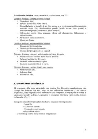 8
5.4.- Distocias debido a otras causas (solo nombradas en este TP)
Distocias debidas a tamaño anormal del feto
- Gigantismo fetal.
- Tamaño excesivo de partes fetales.
- Disparidad entre el tamaño de un feto normal y la pelvis materna (desproporción
materno- fetal). Feto absolutamente grande (pelvis normal, feto grande) o
relativamente grande (feto normal, pelvis estrecha).
- Hidropesías: ascitis fetal, anasarca, edema del alantocorión, hidroamnios e
hidroalantoides.
- Mellizos en animales uníparos.
- Monstruos fetales.
Distocias debidas a desplazamientos uterinos
- Distocia por torsión uterina.
- Distocia por hernias abdominales.
- Distocia por prolapso cérvico-vaginal.
Distocias debidas a estenosis u obstrucción del canal del parto
- Anormalidades o lesiones de los huesos pélvicos.
- Fallas en la dilatación del cérvix.
- Estenosis u obstrucción de vagina.
- Estenosis o constricción de la vulva.
Distocias debidas a cambios fetales post mortem
- Momificación fetal.
- Enfisema fetal.
- Maceración fetal.
6.- OPERACIONES OBSTÉTRICAS
El veterinario debe estar capacitado para realizar los diferentes procedimientos para
corregir las distocias. Por eso, luego de una exhaustiva exploración y un correcto
diagnóstico, debe elegirse aquella intervención que comprenda lo mejor para el cliente, el
veterinario, la madre y el feto. Lo principal es obtener un feto viable y prevenir las lesiones
en la madre. (Fig. 5)
Las operaciones obstétricas deben clasificarse en cuatro más importantes:
-Mutación
-Extracción forzada
-Fetotomía o embriotomía
-Operación Cesárea
(Fetotomía y cesárea no se tratan en este práctico)
 
