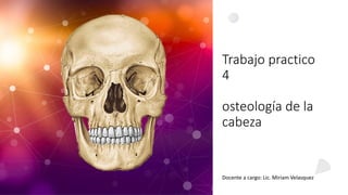 Trabajo practico
4
osteología de la
cabeza
Docente a cargo: Lic. Miriam Velasquez
 