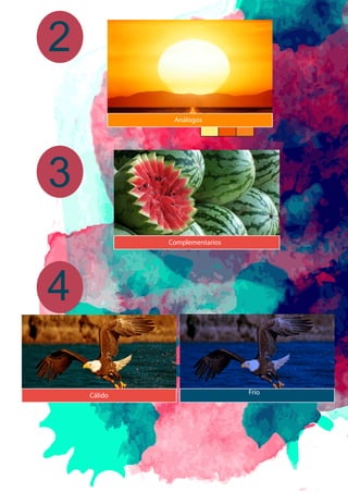 Análogos
Cálido Frío
Complementarios
2
3
4