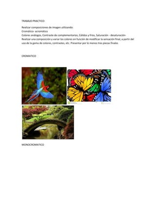 TRABAJO PRACTICO:
Realizar composiciones de imagen utilizando:
Cromático- acromático
Colores análogos, Contraste de complementarios, Cálidos y fríos, Saturación - desaturación-
Realizar una composición y variar los colores en función de modificar la sensación final, a partir del
uso de la gama de colores, contrastes, etc. Presentar por lo menos tres piezas finales
CROMATICO
MONOCROMATICO
 