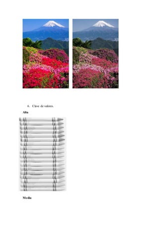 6. Clave de valores.
Alta
Media