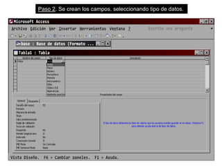 Paso 2. Se crean los campos, seleccionando tipo de datos.