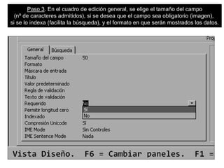 Paso 3. En el cuadro de edición general, se elige el tamaño del campo
(nº de caracteres admitidos), si se desea que el campo sea obligatorio (imagen),
si se lo indexa (facilita la búsqueda), y el formato en que serán mostrados los datos.