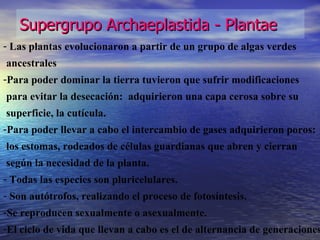Supergrupo Archaeplastida - Plantae Las plantas evolucionaron a partir de un grupo de algas verdes ancestrales Para poder dominar la tierra tuvieron que sufrir modificaciones  para evitar la desecación:  adquirieron una capa cerosa sobre su superficie, la cutícula. Para poder llevar a cabo el intercambio de gases adquirieron poros: los estomas, rodeados de células guardianas que abren y cierran según la necesidad de la planta. Todas las especies son pluricelulares. Son autótrofos, realizando el proceso de fotosíntesis.  Se reproducen sexualmente o asexualmente. El ciclo de vida que llevan a cabo es el de alternancia de generaciones. 