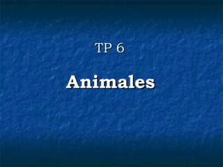 TP 6 Animales 